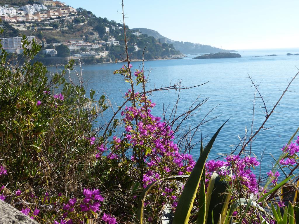 Roses Sobre El Mar Διαμέρισμα Δωμάτιο φωτογραφία